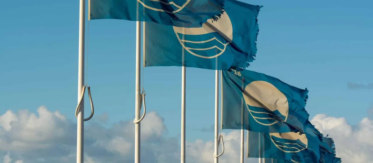 Een vlag met logo voor je bedrijf: 4 tips voor de beste keuze en het strakste resultaat