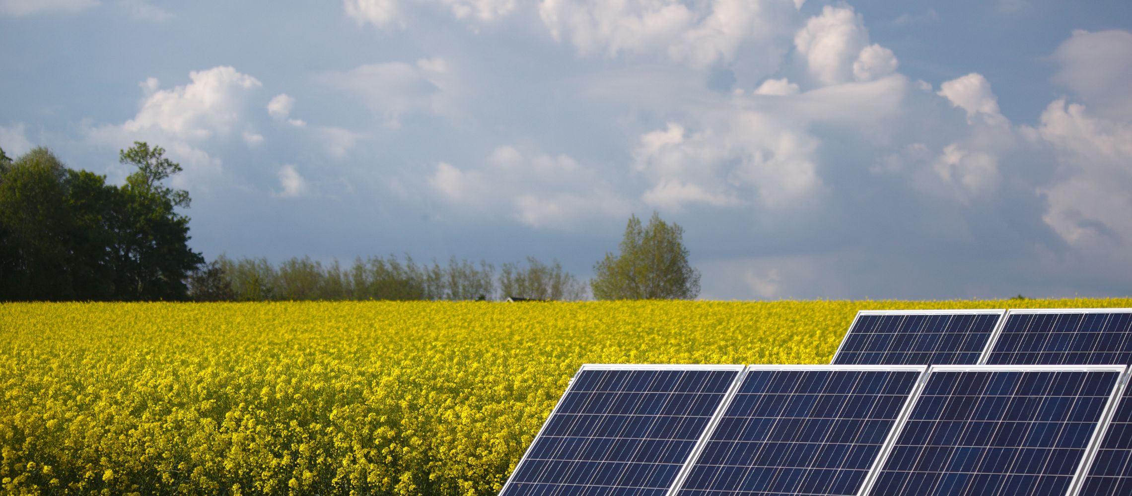Steeds meer bedrijven kiezen voor zonnestroom