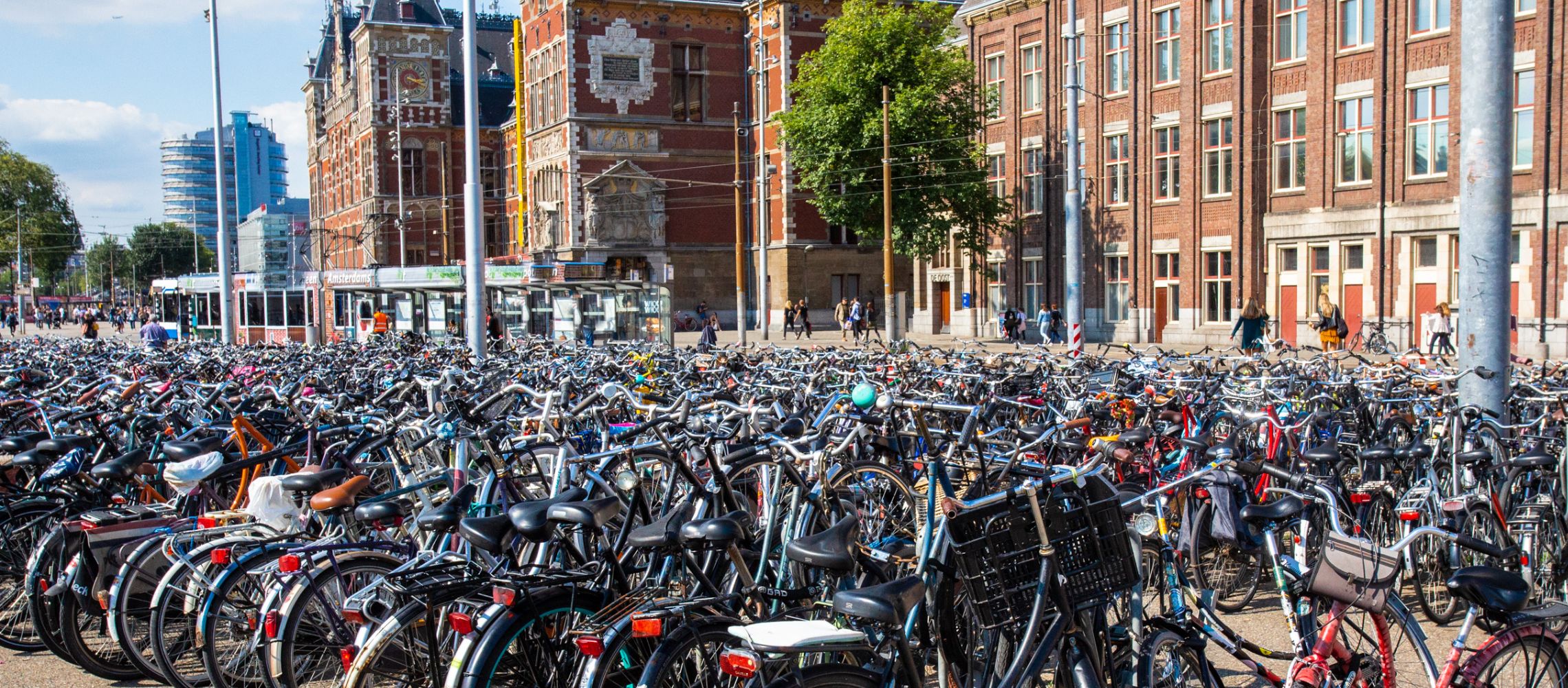 Beeld bij artikel van De Zaak