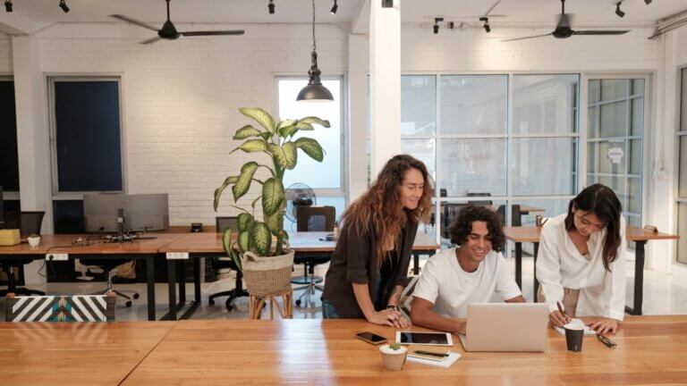 Website de Zaak afbeeldingen x nieuw T