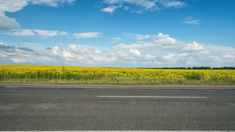 Is de Opel Mokka de ideale auto voor ondernemers met een gezin