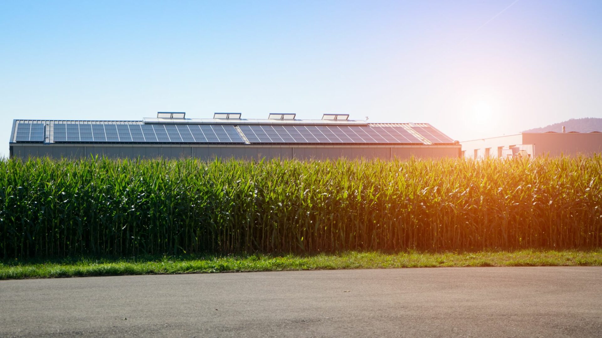 Deze voordelen biedt zonnepanelen leasen voor jou als ondernemer