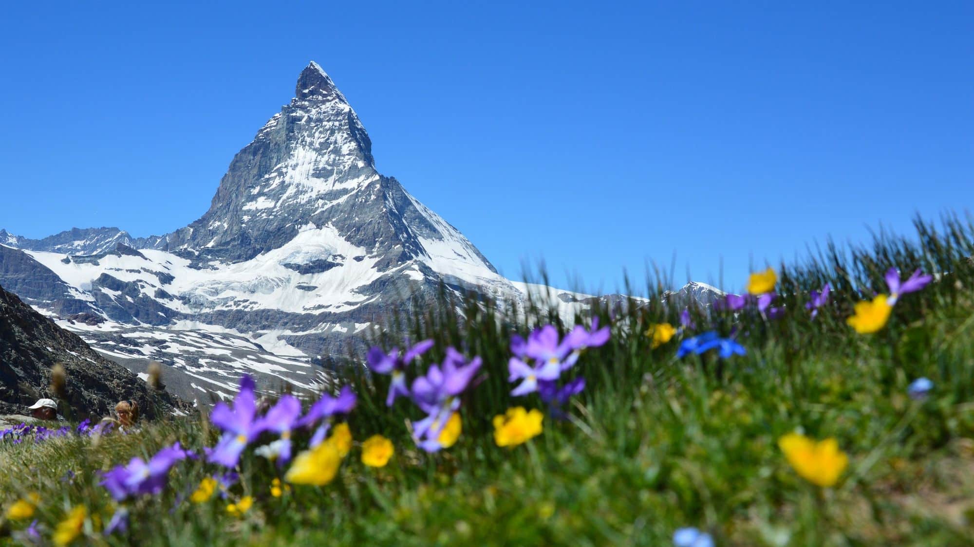 Ga je op zakenreis naar Zwitserland Met deze 7 tips ben je optimaal voorbereid
