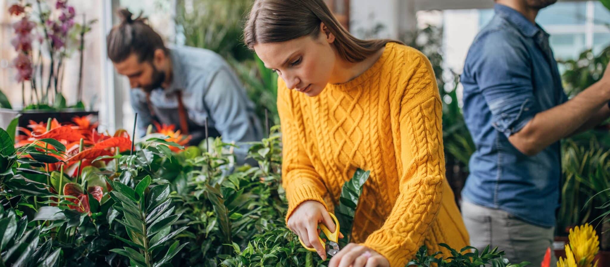 Wat is loon? | De Zaak | Loon en belasting, 3 definities