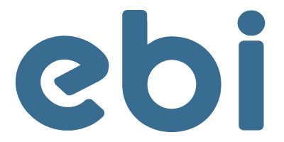 EBI Capital Partners