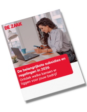 Subsidies 2026 Whitepaper - De Zaak